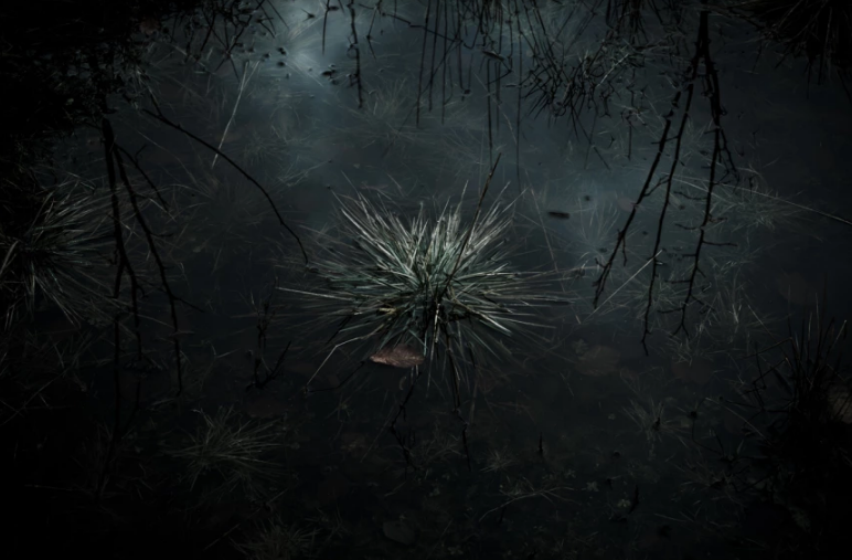 Carousel Image number 5